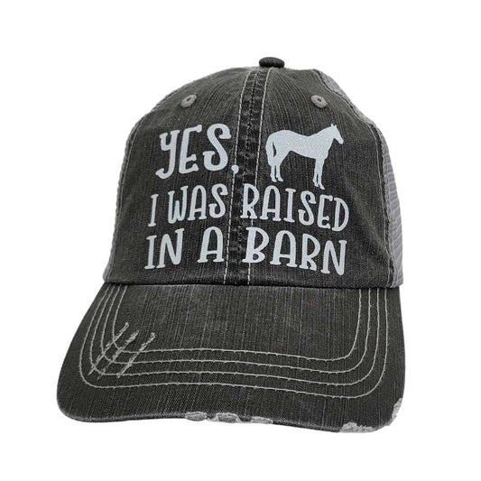 CAP-BARN-RAISED-HORSE